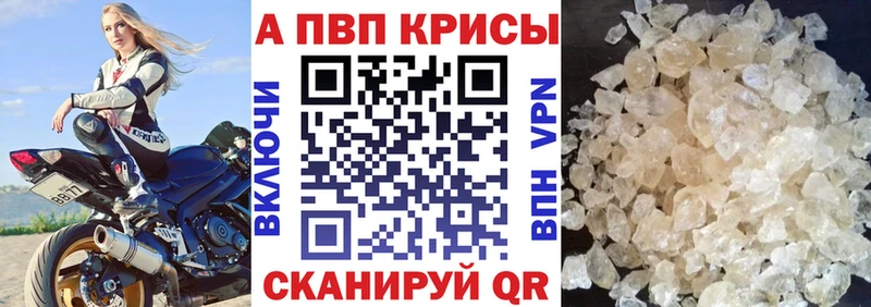 A PVP СК КРИС Багратионовск