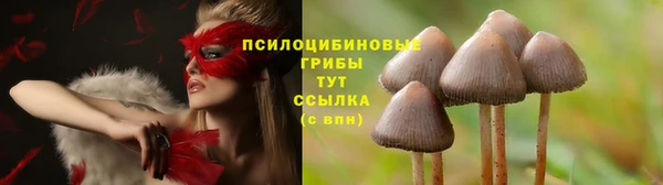 бошки Алзамай