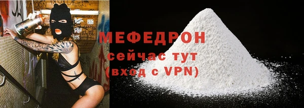 индика Пестово